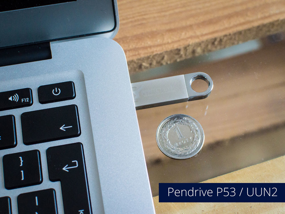 Pendrive P53