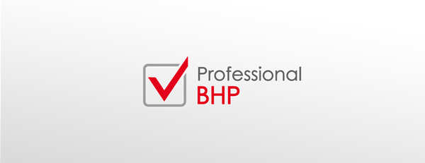 Projektowanie logo Zielona Góra dla Professional BHP